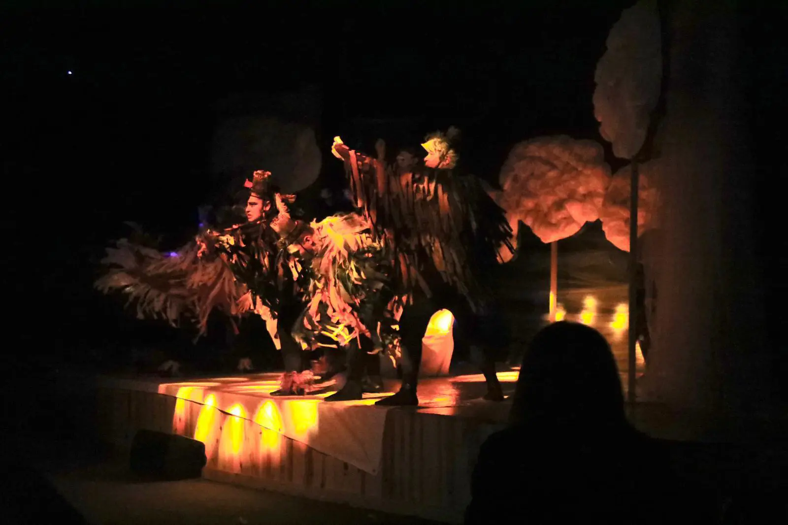 “KUŞLAR” TİYATRO OYUNUNA BÜYÜK İLGİ galeri görseli